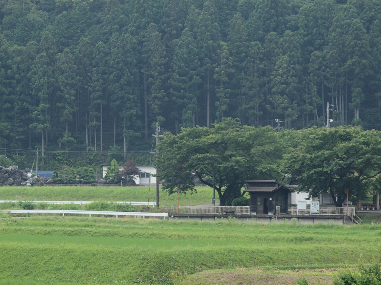 d0054276_20523171.jpg