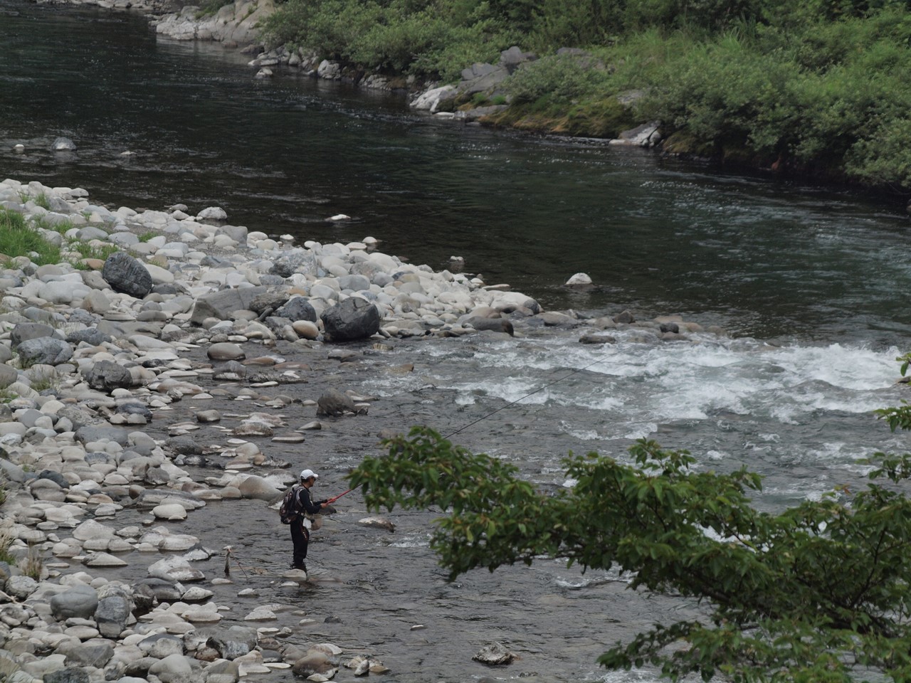 d0054276_20525182.jpg
