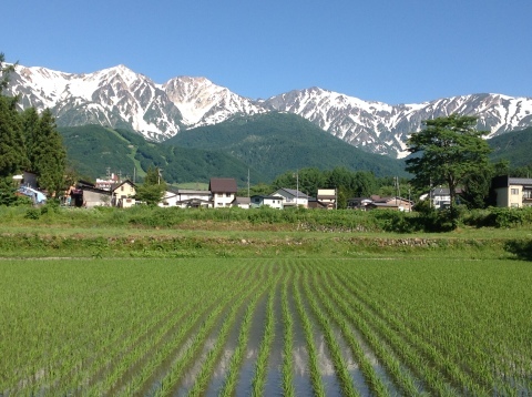 梅雨とは思えぬ晴れ間_e0014678_07591503.jpg