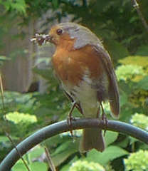 c0197980_06035487.png