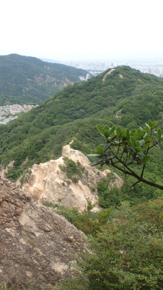 e0024081_20340002.jpg