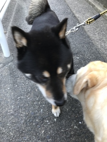 f0315081_22150899.jpeg
