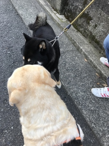 f0315081_22155691.jpeg