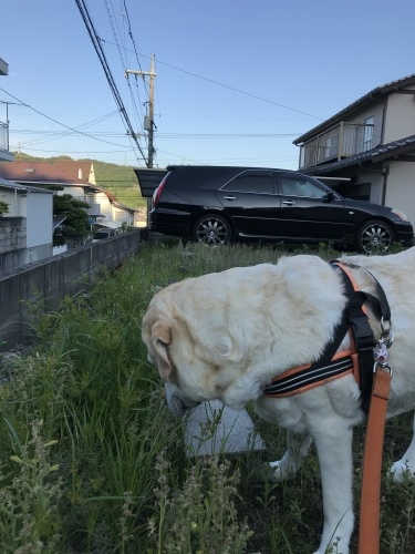 f0315081_22164742.jpeg