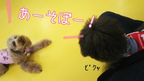 トレーニングブログ_f0357682_21461519.jpg