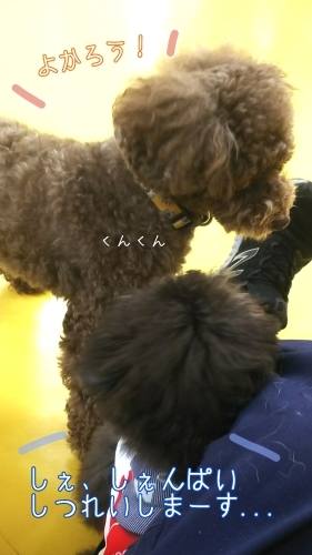 トレーニングブログ_f0357682_22011021.jpg