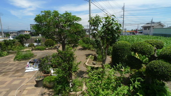 c0212083_17064367.jpg