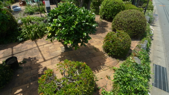 c0212083_17070466.jpg