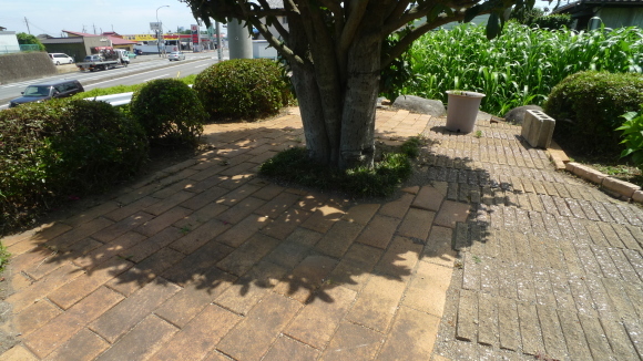 c0212083_17071310.jpg