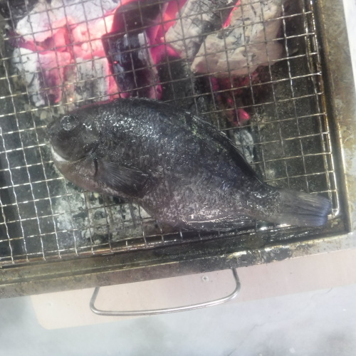 d0174683_21590616.jpeg