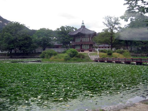 d0021786_10193139.jpg