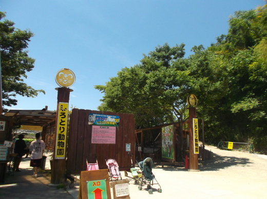 白鳥どうぶつ園、案外近かった楽しいですよ～孔雀が放し飼いされています！駐車場まで2分_e0364586_18491152.jpg