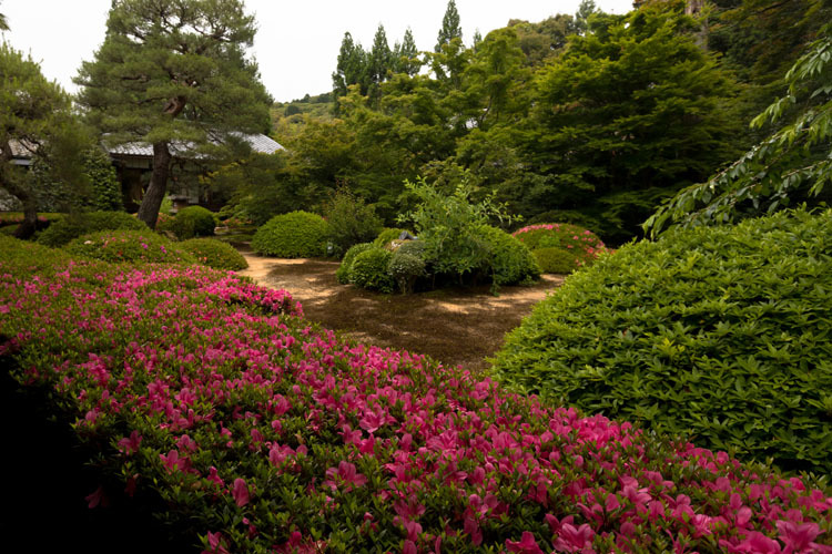 雲龍院(泉涌寺塔頭)_e0051888_21064623.jpg