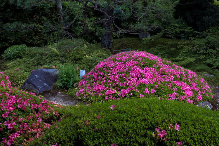 雲龍院(泉涌寺塔頭)_e0051888_21071891.jpg