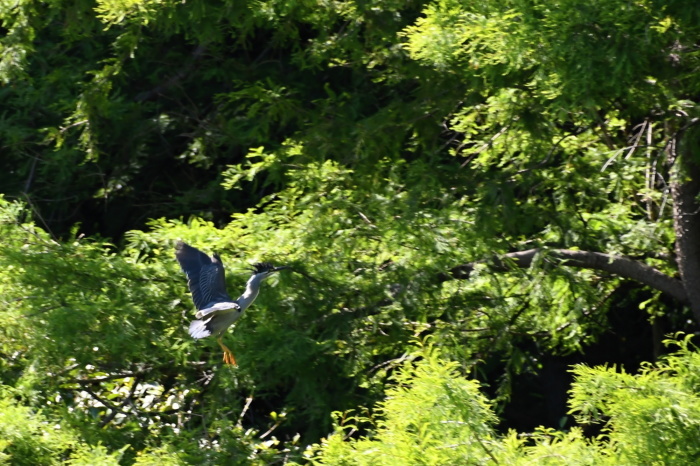 a0127090_23003145.jpg