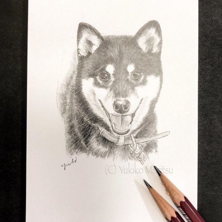 ガラスのペット肖像画 黒柴mちゃん制作中 びいどろ彫師のつぶやき Glassアルペンローゼ 店主のつれづれ日記