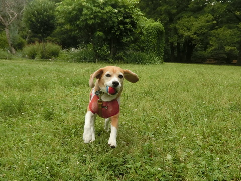 a0319693_103431.jpg