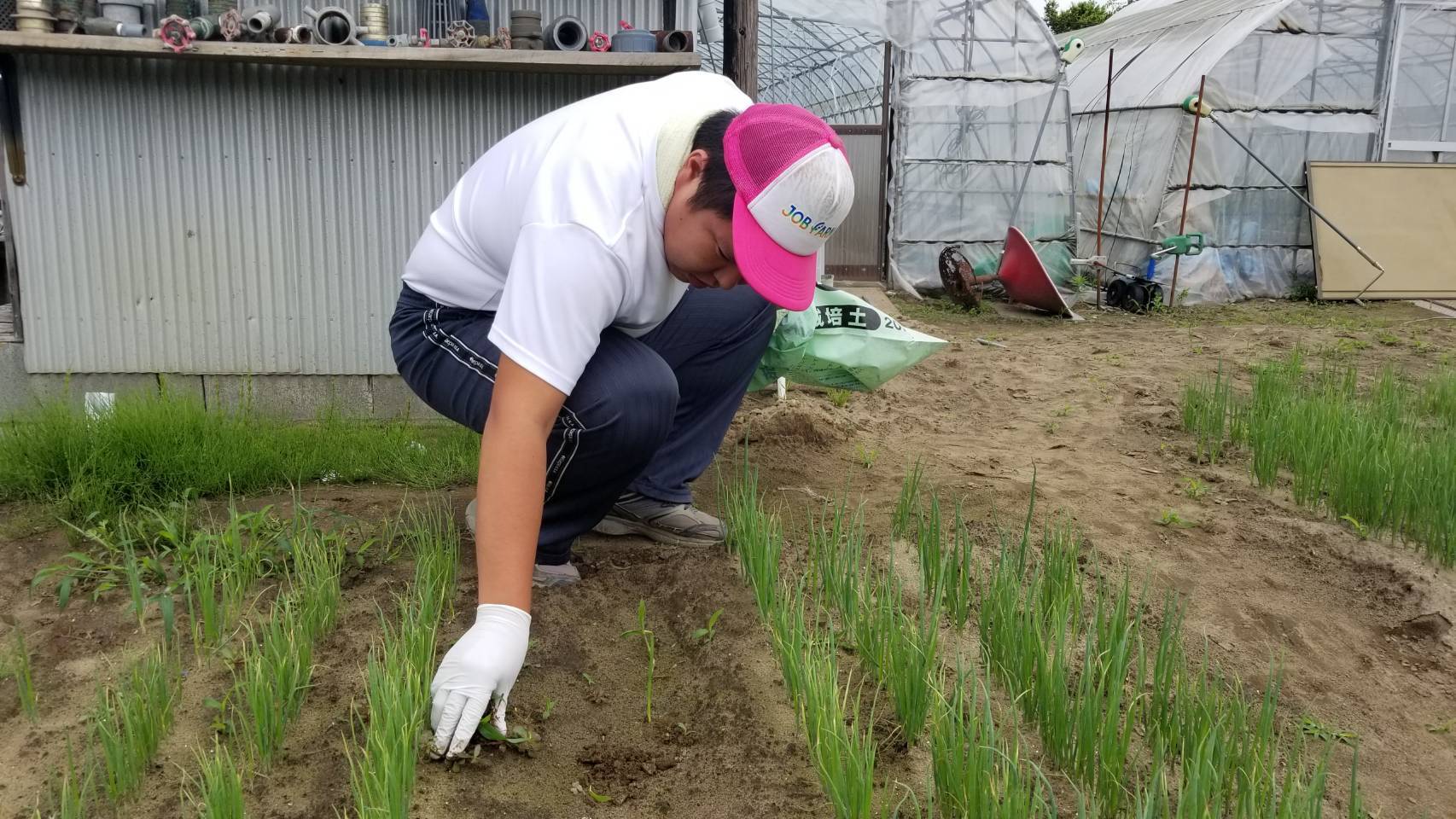 酒米 田んぼの除草・農福連携請負作業・コイン精米所ぬか回収ほか_e0270198_16581074.jpg