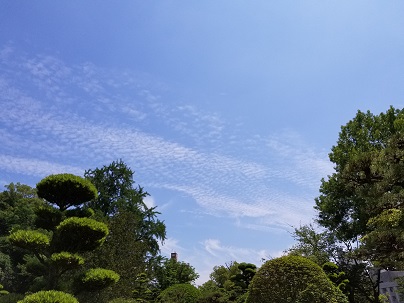 d0040901_2254079.jpg