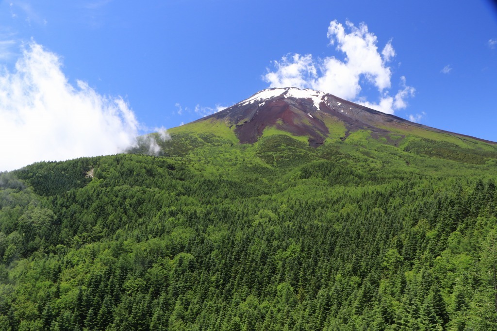 a0188405_16235703.jpg