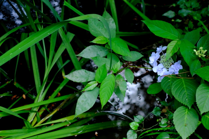 e0349708_08043605.jpg