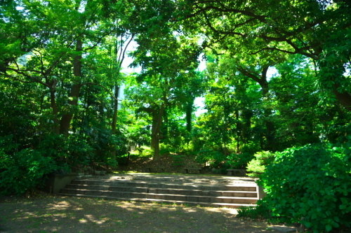 a0263109_20082967.jpg