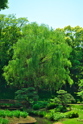 a0263109_20093256.jpg