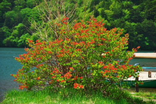 a0263109_20204351.jpg
