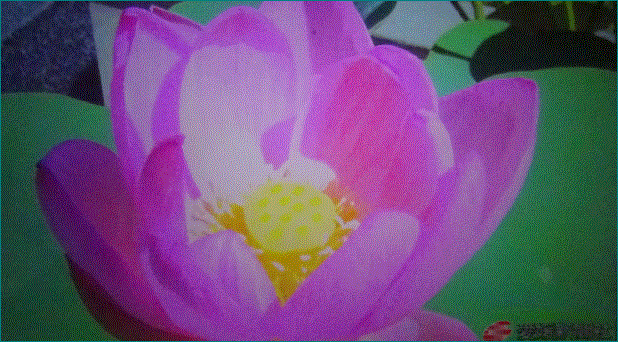 f0231709_00235148.gif