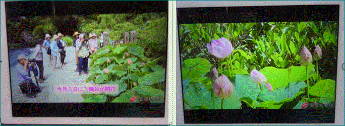 f0231709_00270114.gif