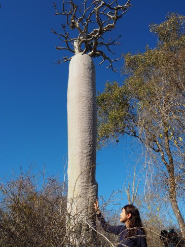 d0179410_21412534.jpeg