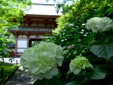 a0238314_10184140.jpg
