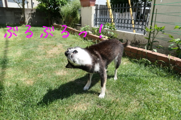 f0369014_10153018.jpg