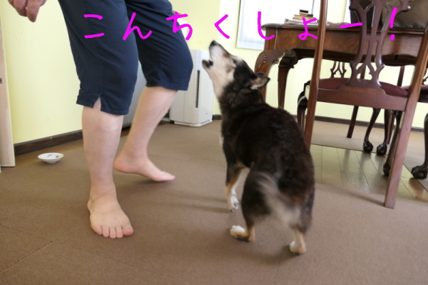 f0369014_11075381.jpg
