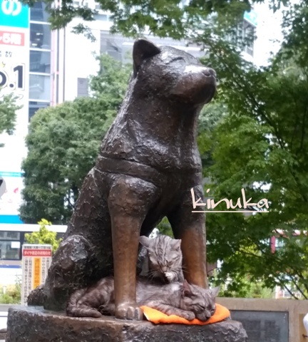 f0205317_06290316.jpg
