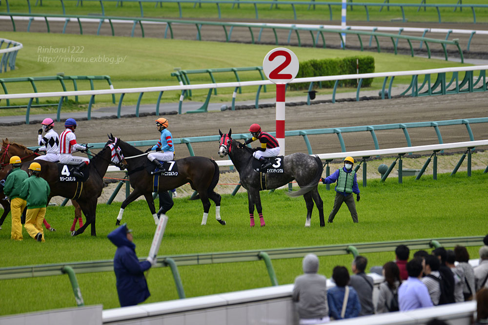 2018.4.7 中山競馬場☆野島崎特別☆エイシンティンクル【A Shin Twinkle】_f0250322_215066.jpg