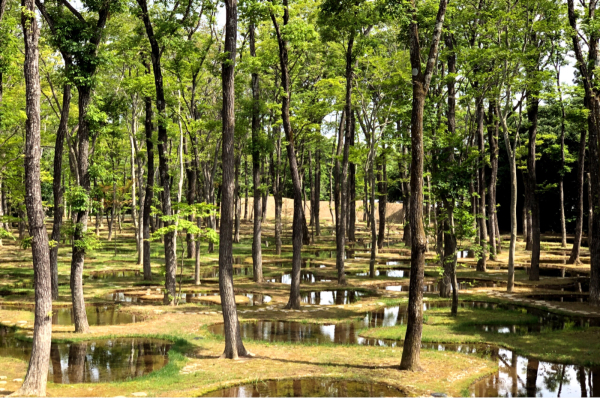 『 那須の休日 - Water Garden 』_f0085225_00202444.jpg