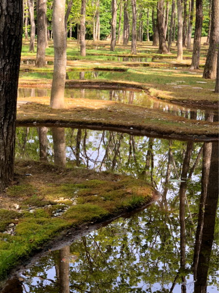 『 那須の休日 - Water Garden 』_f0085225_00275246.jpg