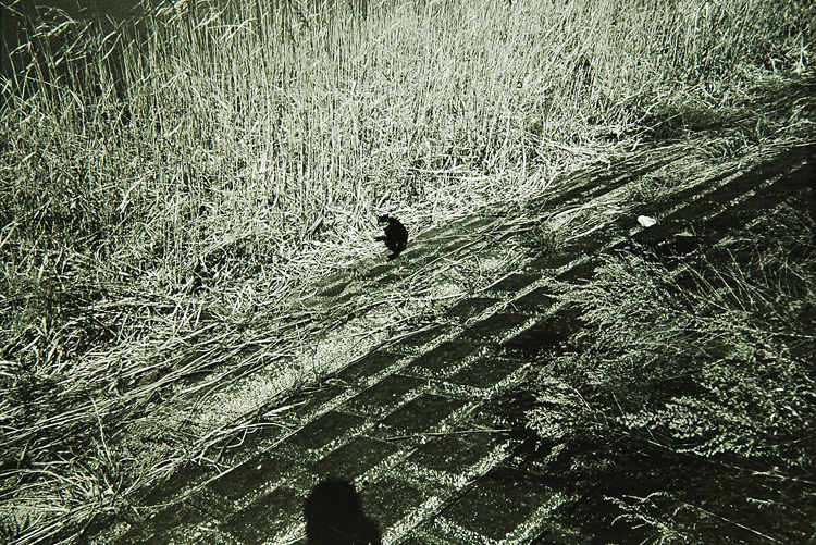 c0381632_20215209.jpg