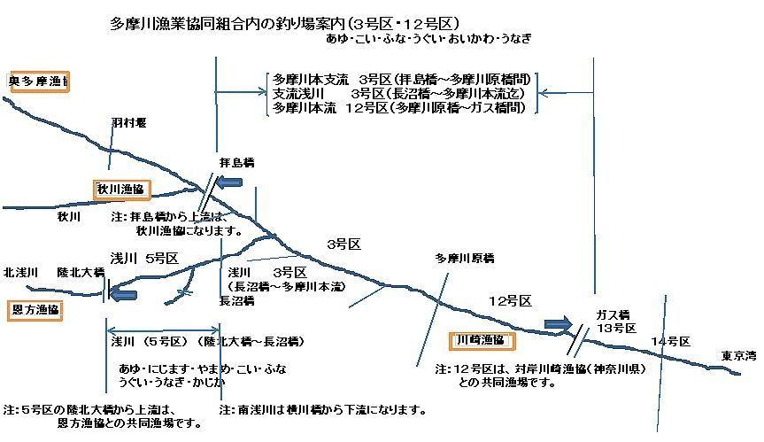 釣魚：アユとオイカワをめぐるあれこれ（1）_d0103632_16263732.jpg