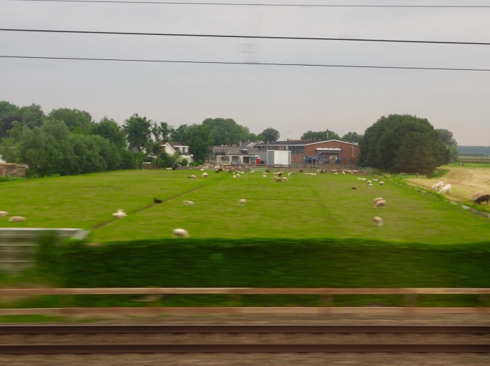 f0238932_17064498.jpeg