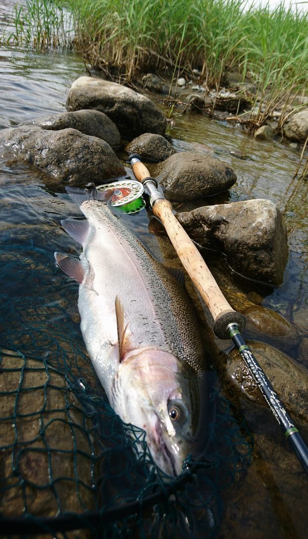 魚野川レインボー Greased Line Glide グリースド ライン グライド ｂｙ Anglers Bench