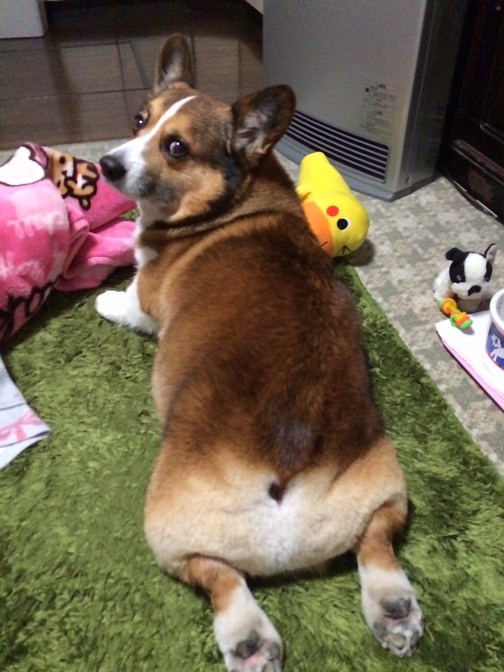 はじめまして_e0268036_16341595.jpg