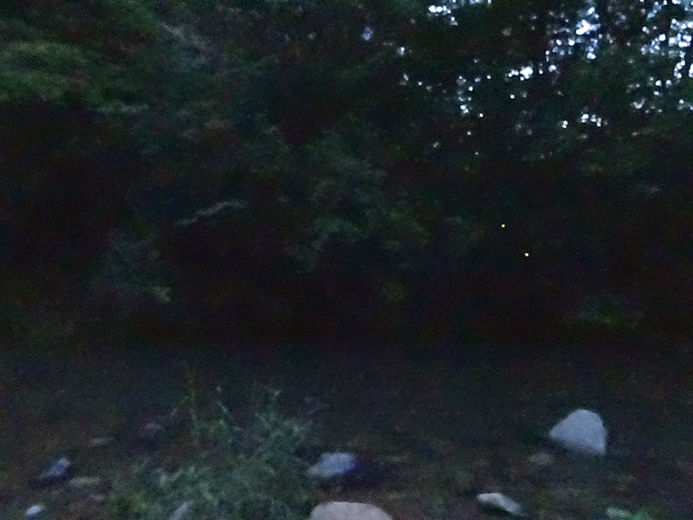 e0371039_1315287.gif