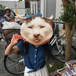 ココシバ_a0028451_19271354.png