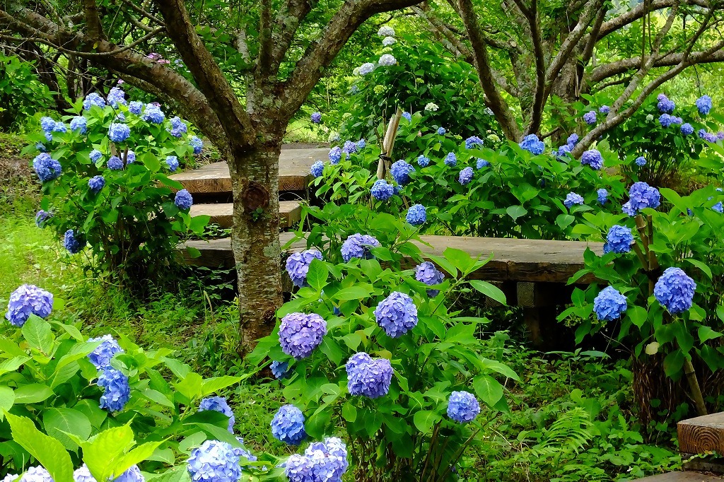 b0236251_10052317.jpg