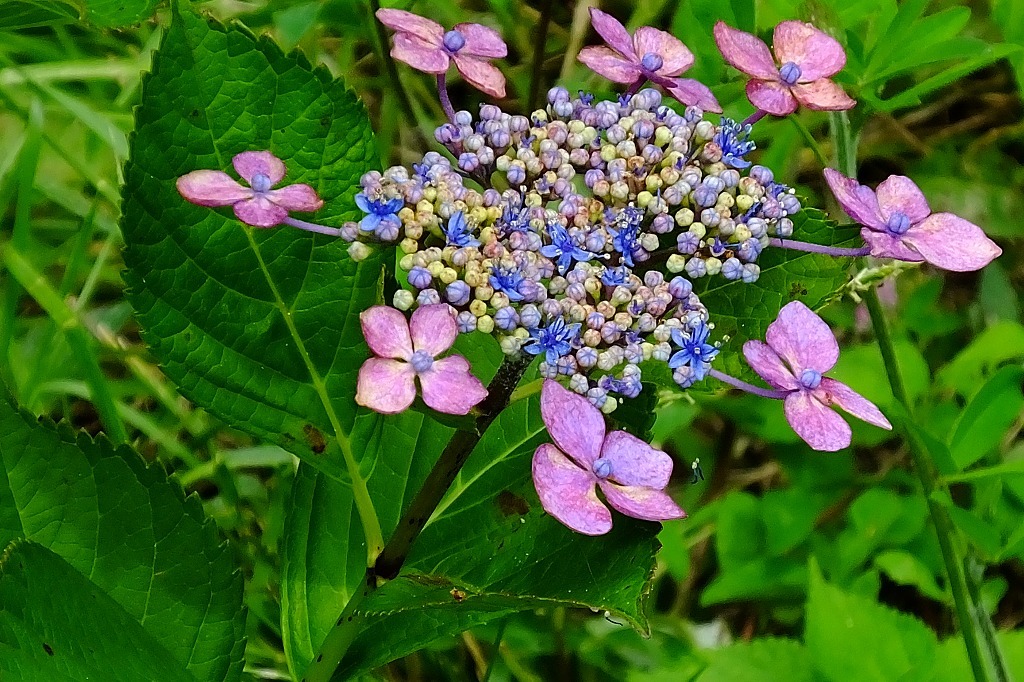 b0236251_10073268.jpg