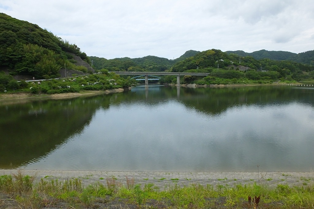 湖畔の紫陽花を見に・・　　（３）_b0236251_11570258.jpg