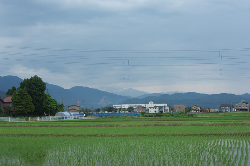 d0342652_13335778.jpg