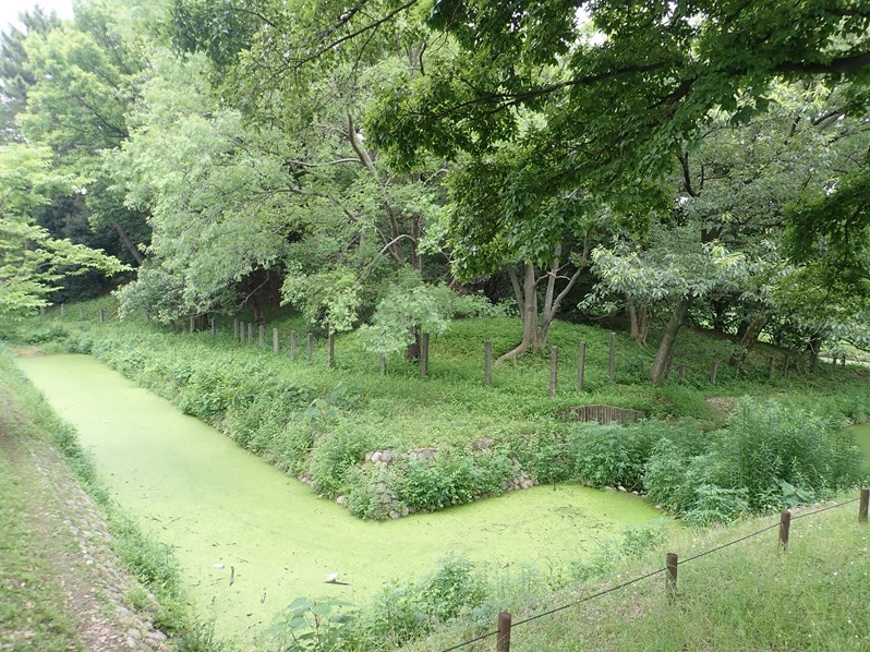 f0140054_09033963.jpg